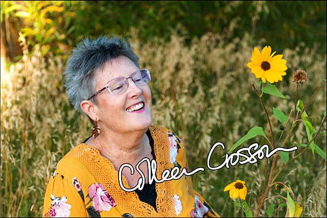 colleen crosson, singer/songwriter